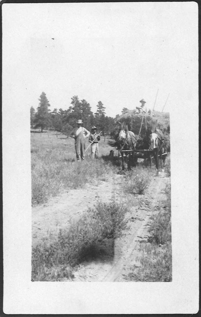 1920 photograph: the loaded hay wagon and two men with pitchforks on a meadow lane