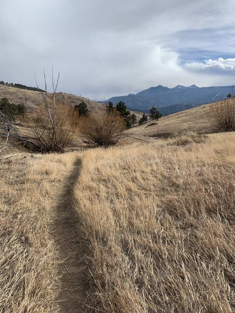A footpath through winter meadow grass toward the back of the Flatirons