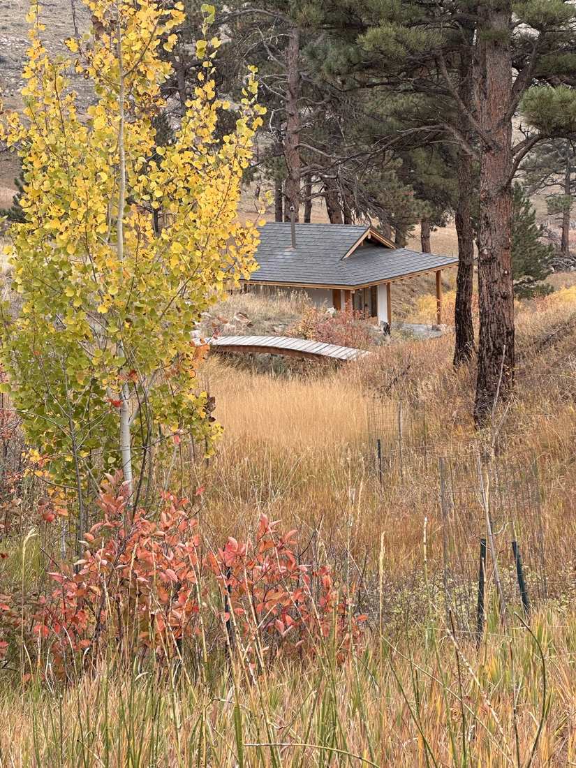 The teahouse and arched footbridge among golden aspens and wild plum in autumn