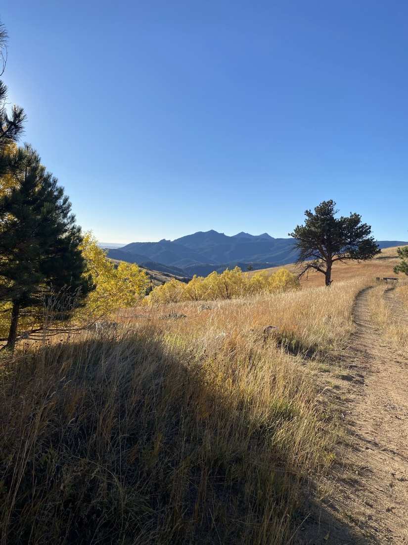 A dirt trail winding through golden meadow grass toward aspens and distant peaks