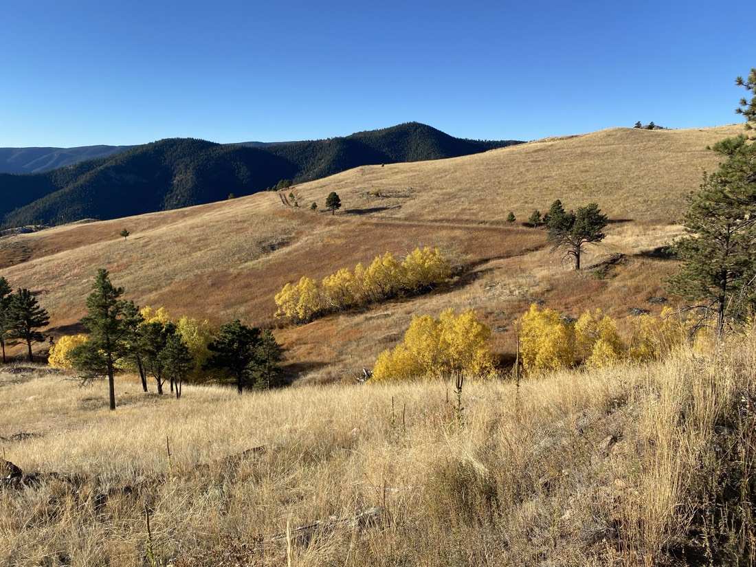 Golden aspen groves along the fall meadow with layered foothills beyond