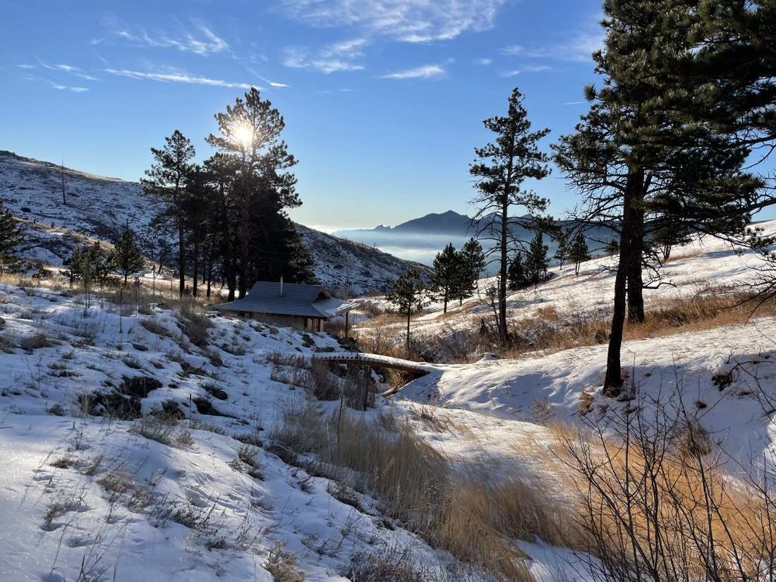 Winter morning sun through the pines, a cloud inversion filling the valley below