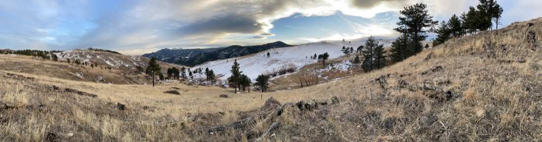 Winter meadow panorama with snow patches, native grasses, and pines