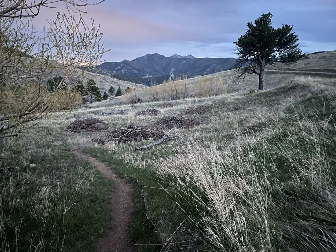A spring evening trail through greening meadow toward the peaks