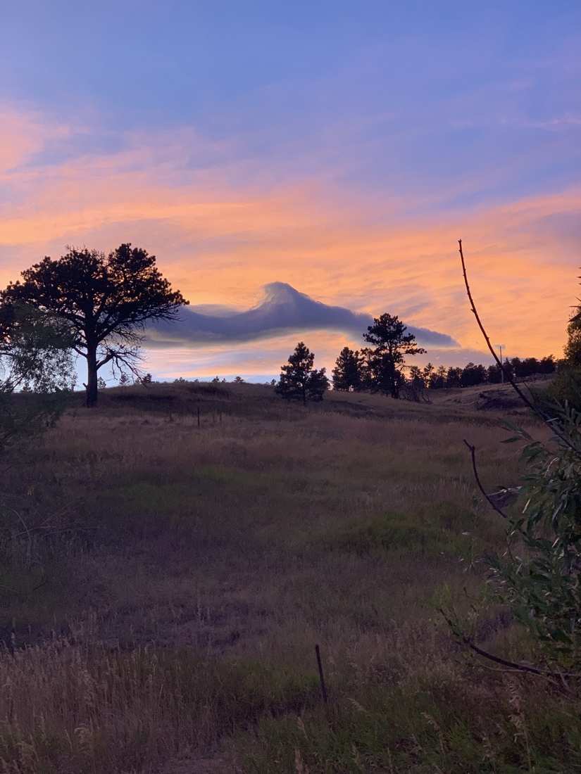 A lenticular cloud riding a pink sunset over the meadow