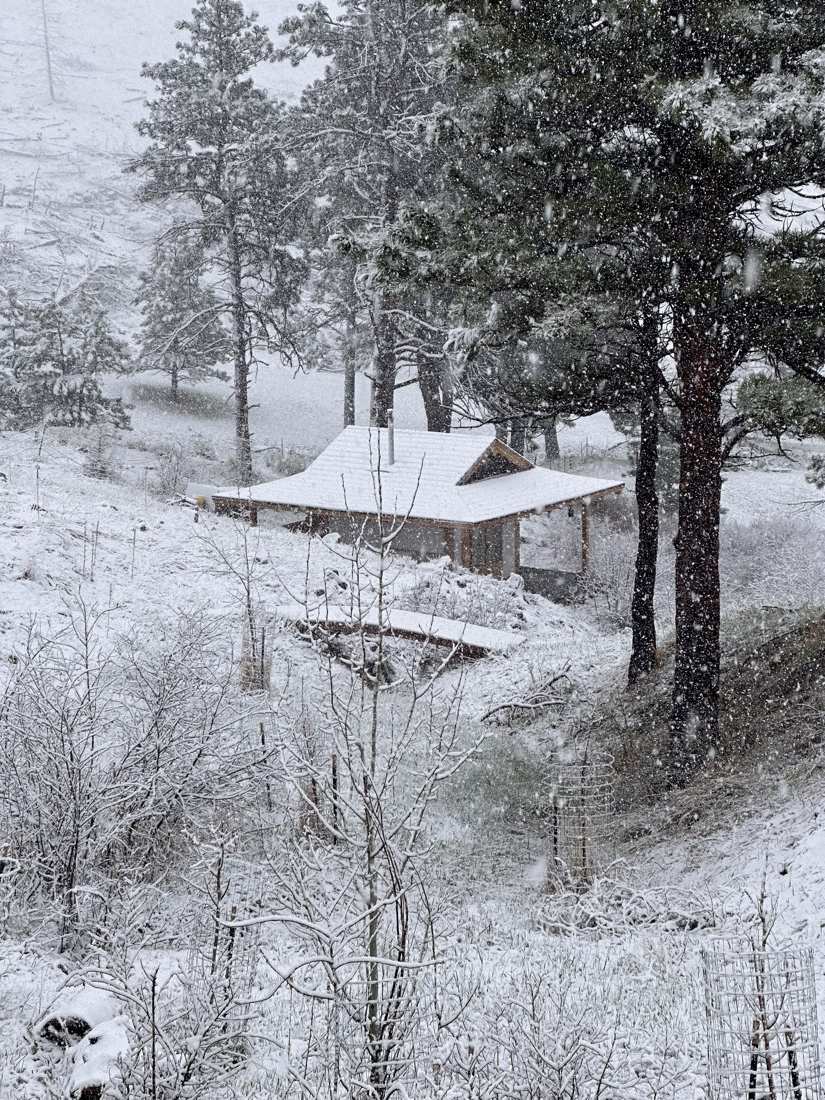 Snow falling softly over the teahouse among the pines
