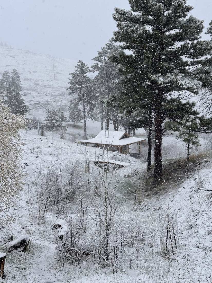 Snow falling across the draw, the teahouse tucked under a great pine