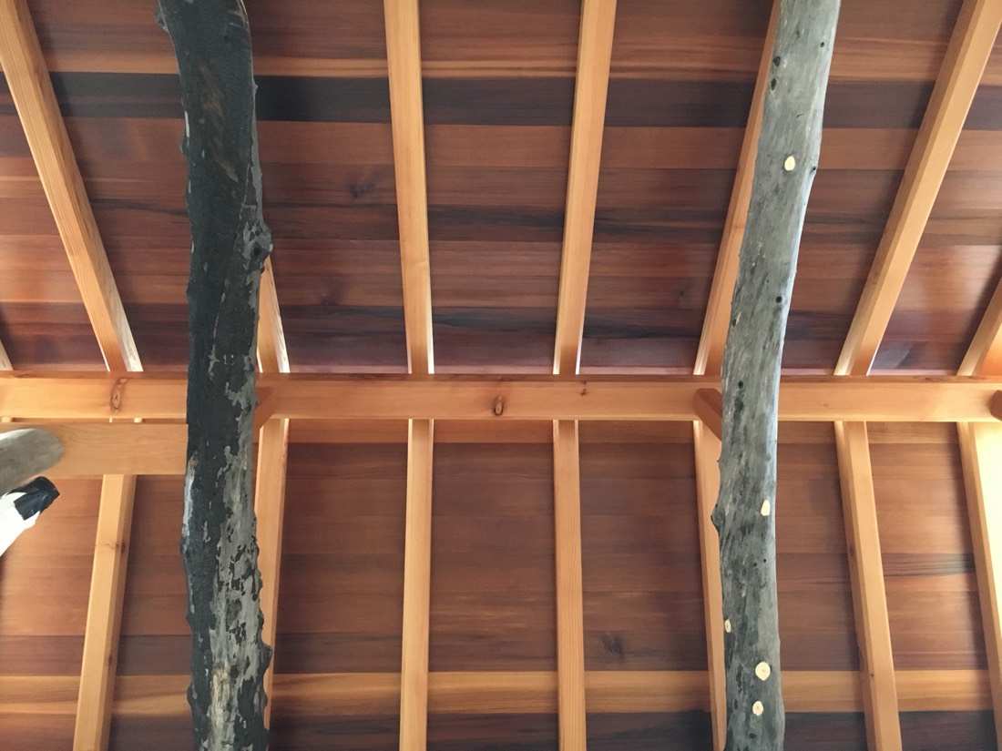 The teahouse ceiling: cedar decking, fir rafters, and burnt-log posts