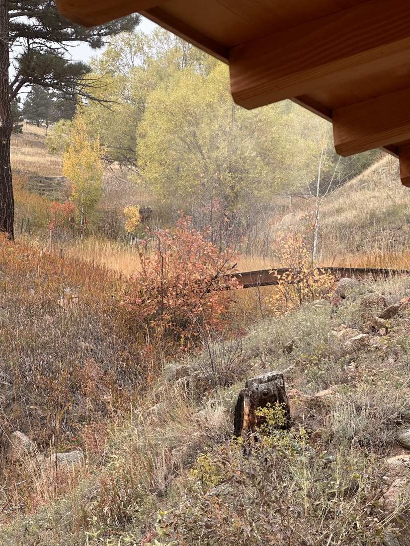 The teahouse eave framing an autumn meadow with the arched footbridge in the distance