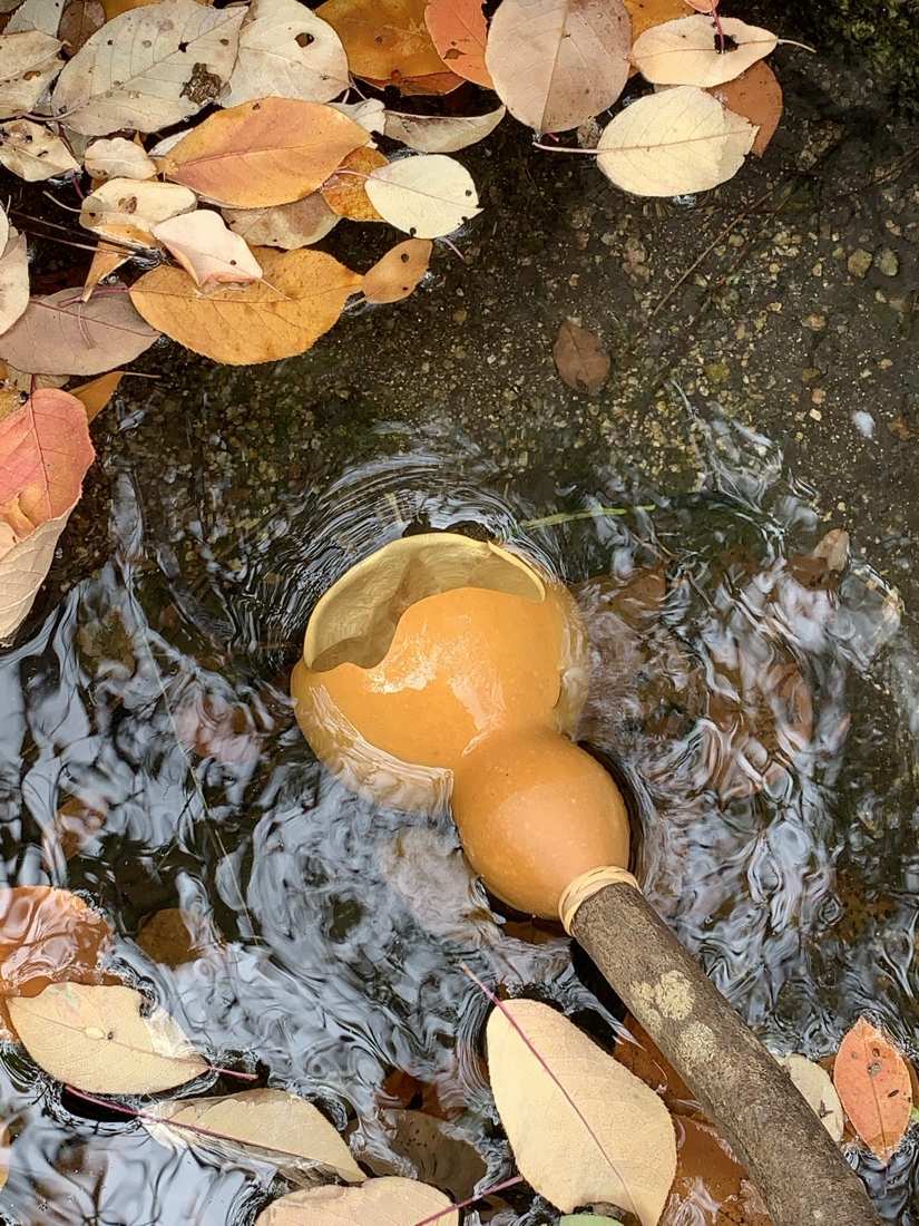 A gourd ladle floating in the spring pool among fallen autumn leaves