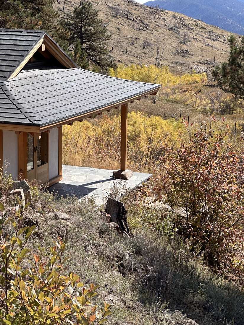 The teahouse roofline over golden autumn willows and the burned hillside beyond