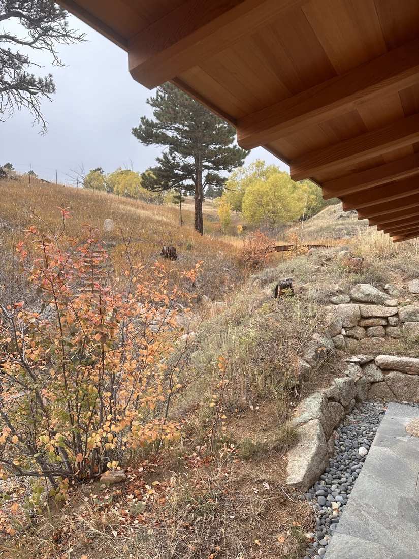 Cedar soffit and eave over autumn shrubs, drystone wall, and river-rock drainage